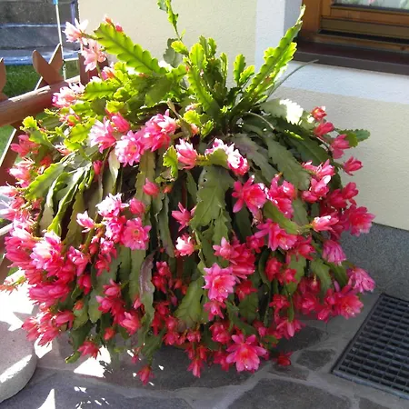 Haus Gruenbergblick * Mayrhofen