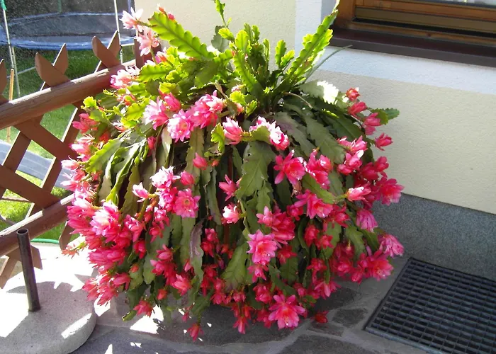 Haus Gruenbergblick * Mayrhofen